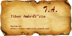 Tibor Ambrózia névjegykártya